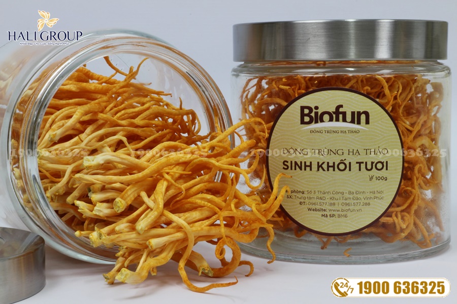 Một số thông tin về Biofun Đông Trùng Hạ Thảo Việt Nam