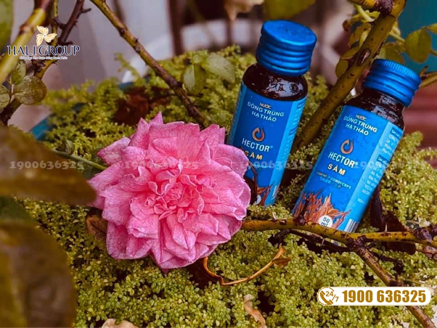 Nước Uống Đông Trùng Hạ Thảo Hector Sâm - sản phẩm tuyệt vời cho sức khỏe của bạn