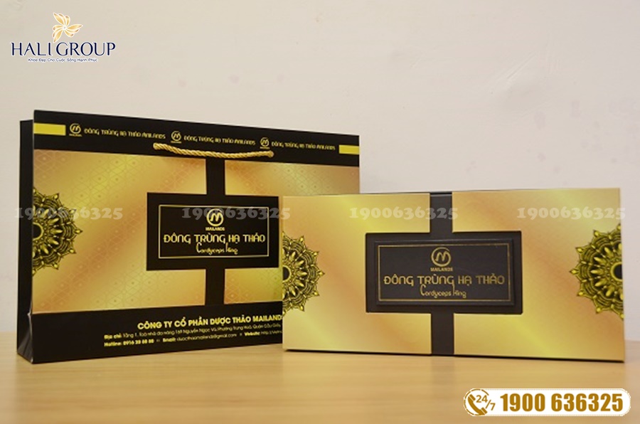 Cung cấp Nhộng Đông trùng hạ thảo Cordyceps King Mailands tại TP HCM