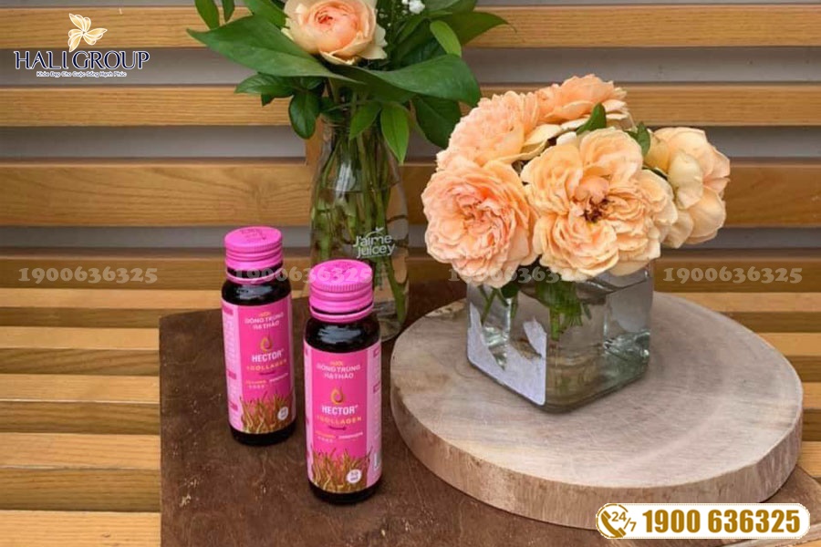 Nước Uống Đông Trùng Hạ Thảo Hector Collagen - thực phẩm "vàng" cho người bị suy nhược cơ thể